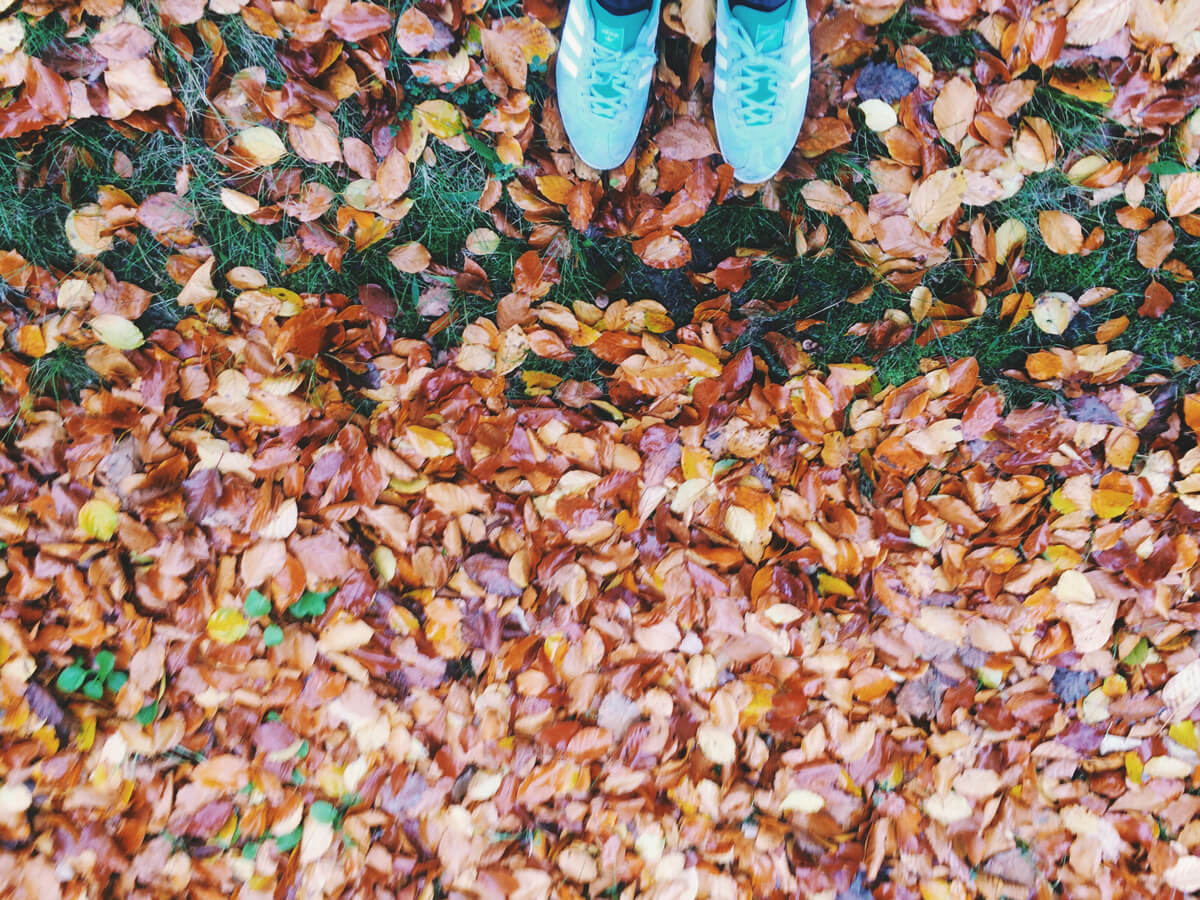 Herbst - Frische Luft zum Atmen