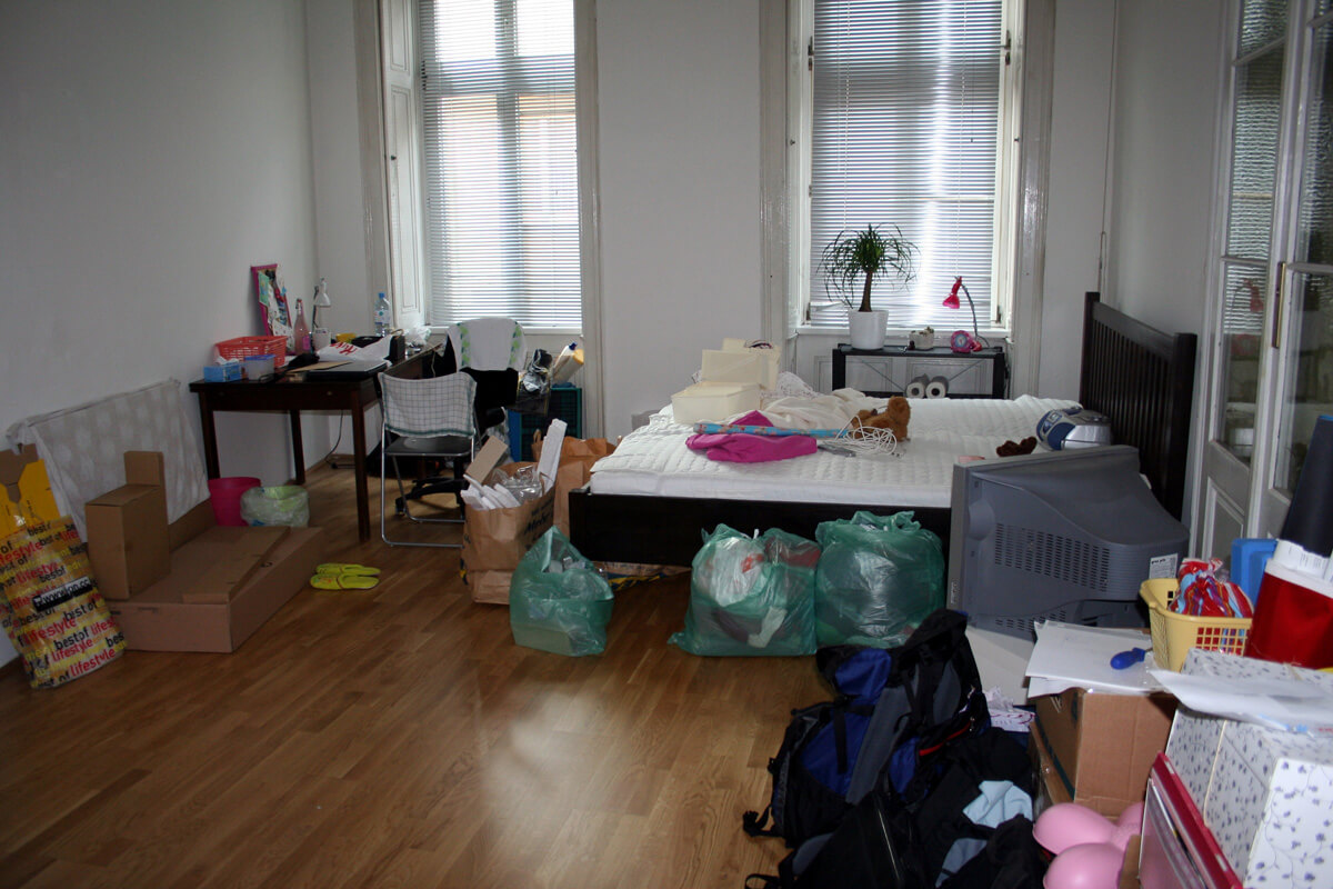 finally, i have a new roommate
