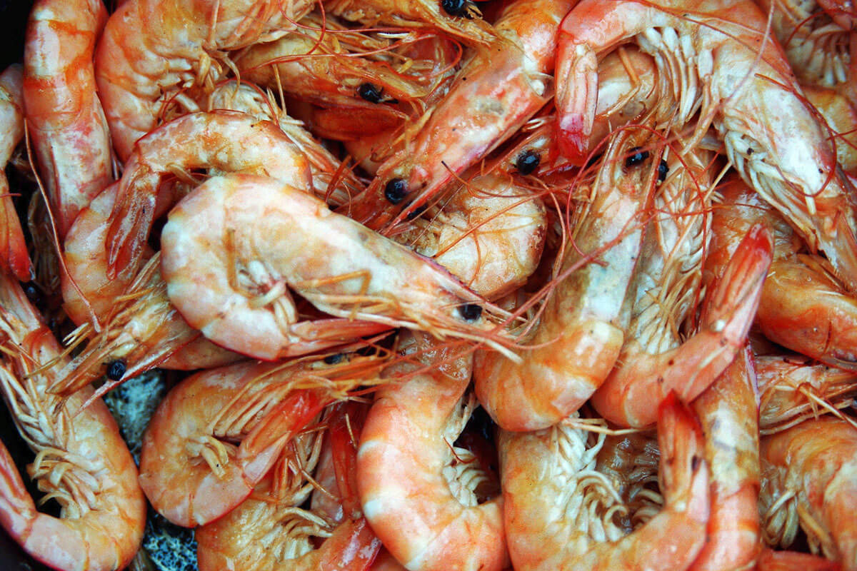 scampi-kartoffel-salat mit senf-dressing