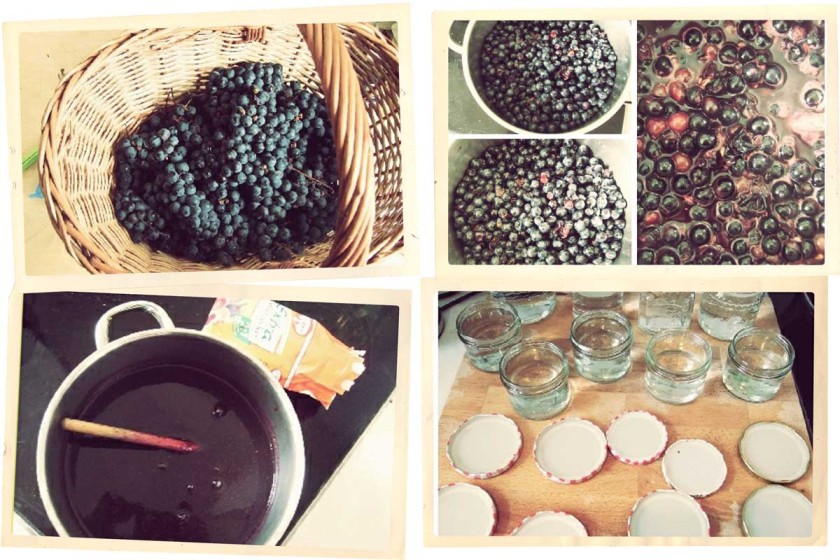 uhudler-marmelade aus isabella trauben uhudler-marmelade aus isabella trauben